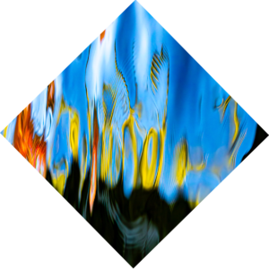 painted fire 6