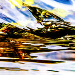 a bird like figure in an abstract water photograph