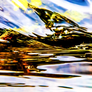a bird like figure in an abstract water photograph