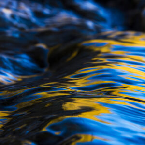 blue and yellow velvet