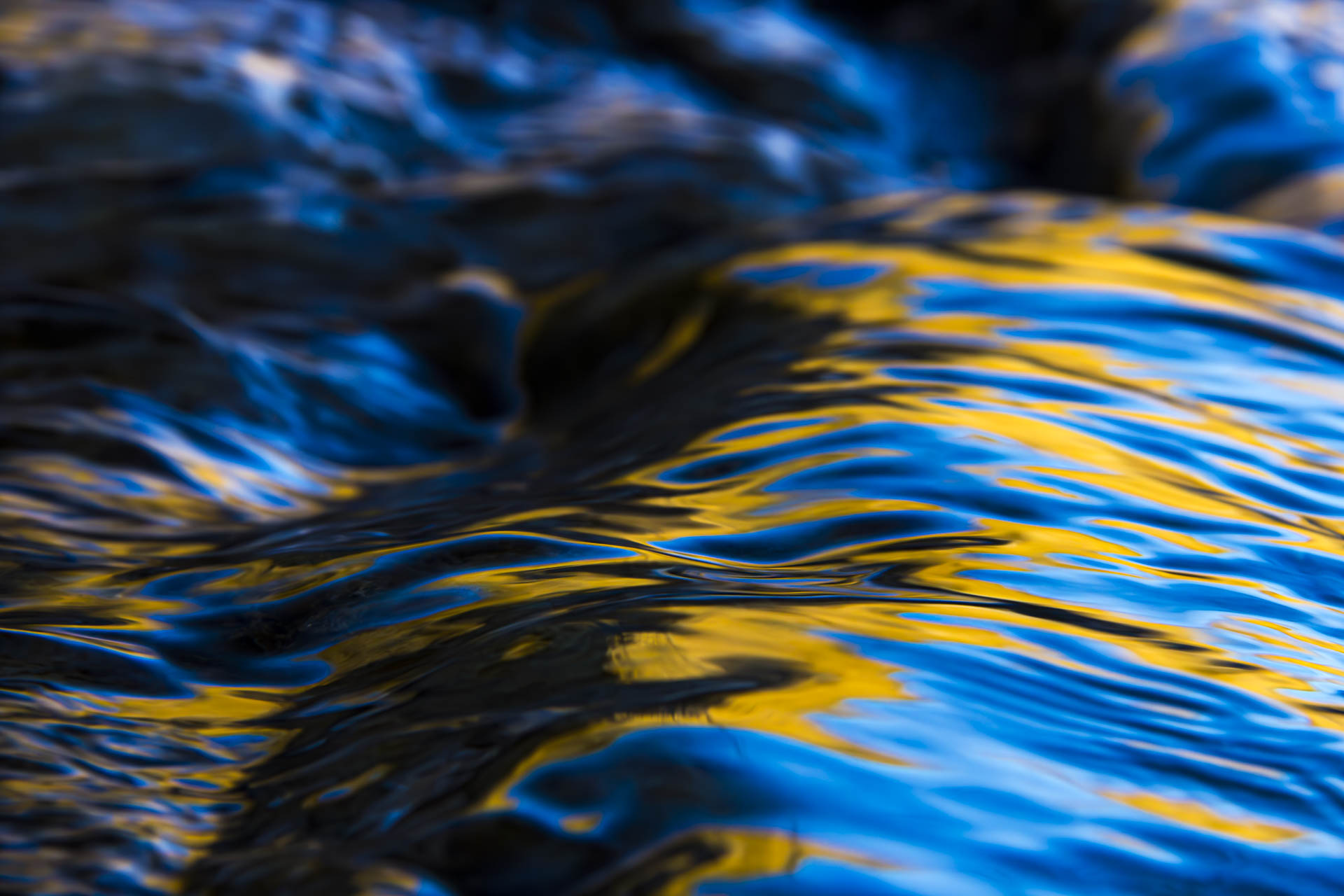 blue and yellow velvet