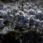 lynn stevens, blue bubbles 2