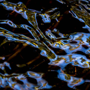 blue ripples, lynn stevens