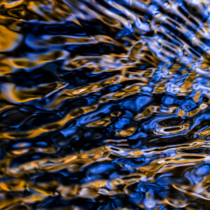 blue orange, lynn stevens