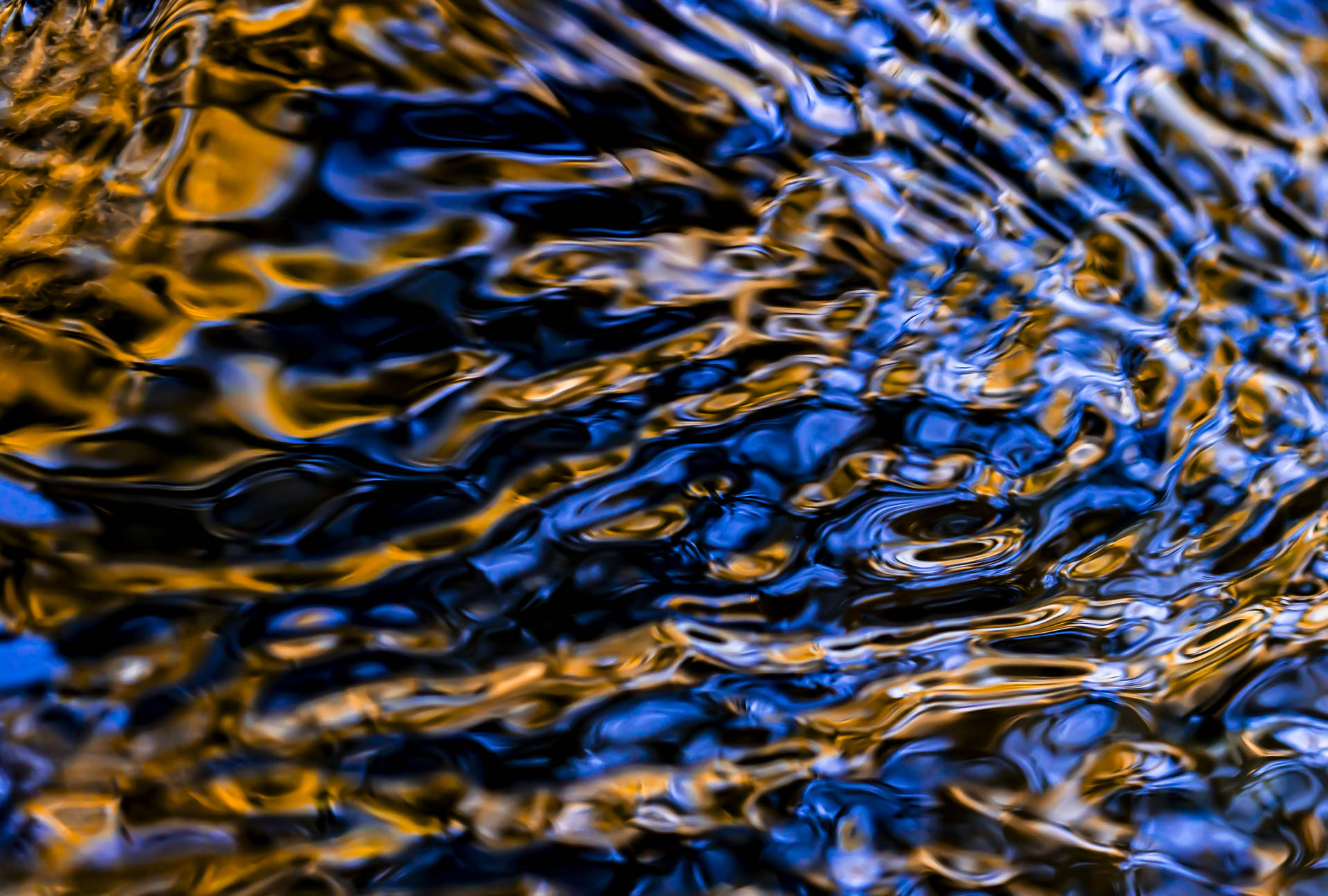 blue orange, lynn stevens