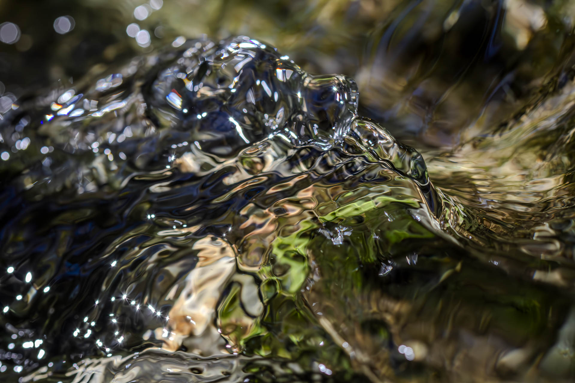 paredolia. moving water frozen in one picture that looks like a glass dog.
