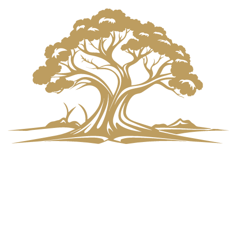 outdoor gallery lynn stevens fine art